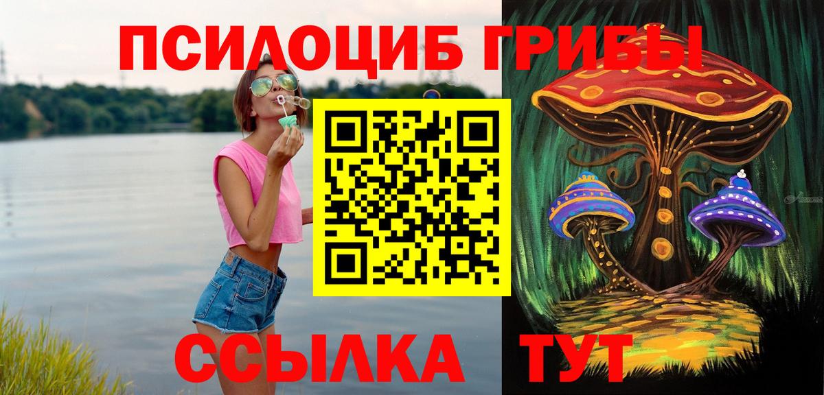 Галлюциногенные грибы Cubensis  Псилоцибиновые грибы GOLDEN TEACHER  что такое   Кострома  Вход с VPN 